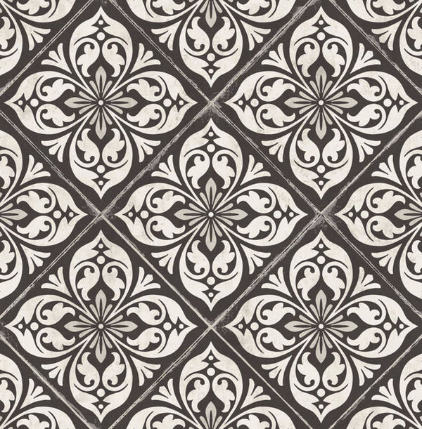 Ebony and Silver