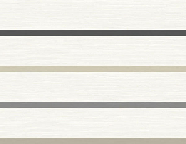Ivory, Wrought Iron, and Sand Dollar