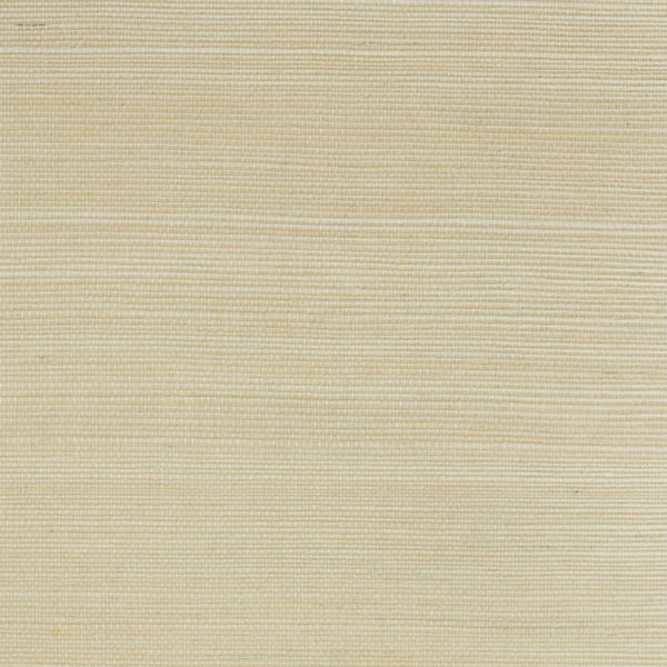 sugar-cookie_sugar-cookie-sisal