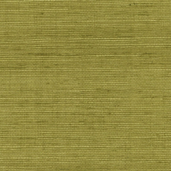 olive_olive-sisal