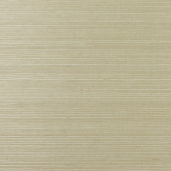 wheat-grass_wheat-grass-sisal