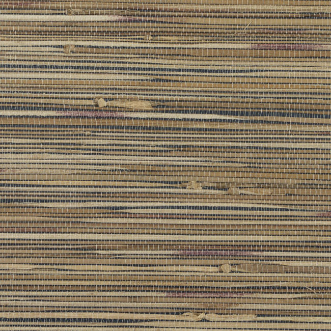 maize_maize-boodle