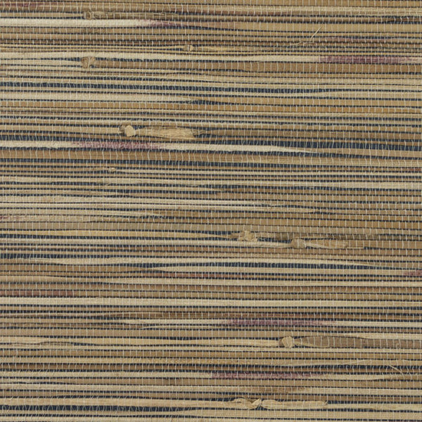 maize_maize-boodle
