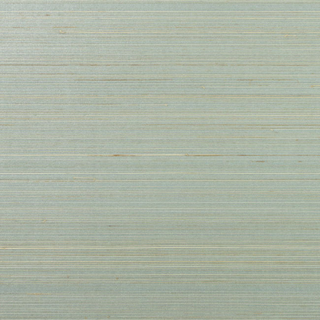 lake-forest-and-sandy-shore_lake-forest-and-sandy-shore-abaca