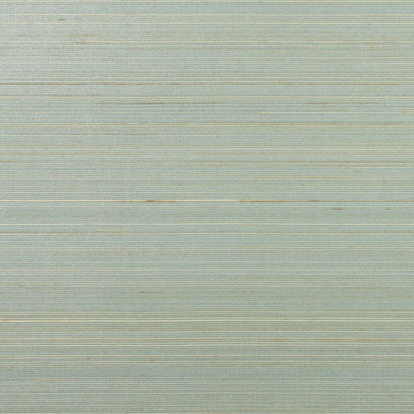 lake-forest-and-sandy-shore_lake-forest-and-sandy-shore-abaca