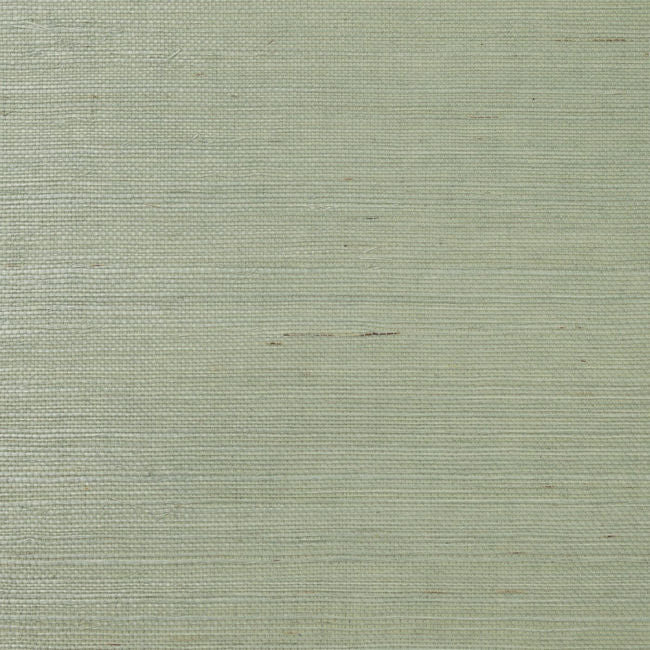 tender-green_tender-green-sisal