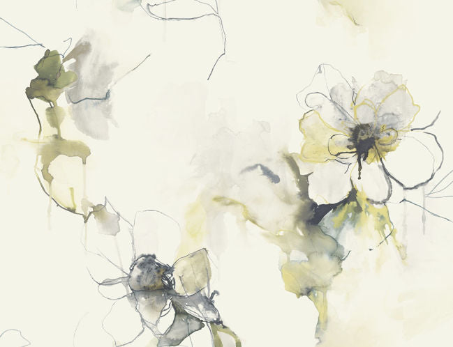 dark-ash-and-canary_anemone-watercolor-floral