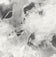 Grayscale