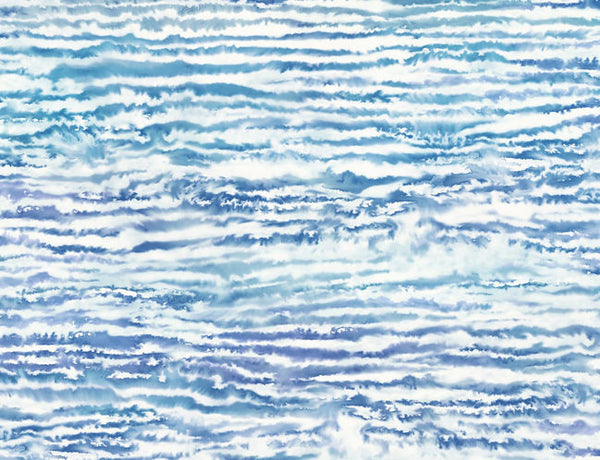 French Navy and Aqua