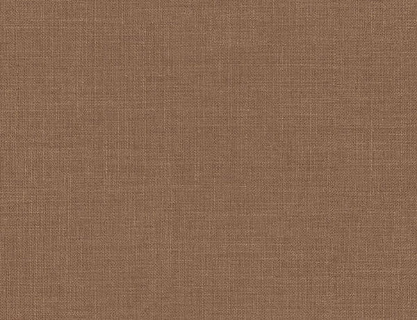 Copper Penny