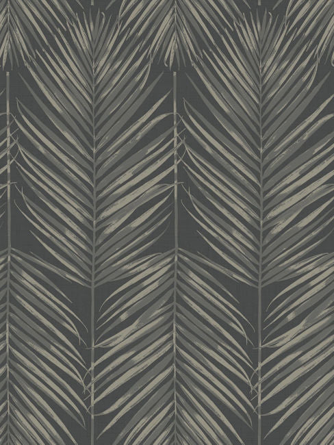 black-sands_paradise-palm