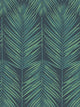 Tropic Midnight