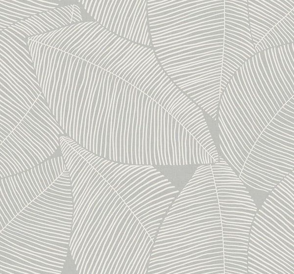Daydream Gray