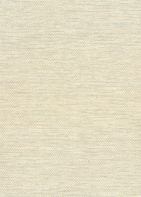 Paperweave - Metallic Silver & Off White in Double Roll