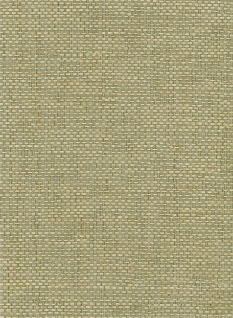 Paperweave - Green & Tan in Green & Tan