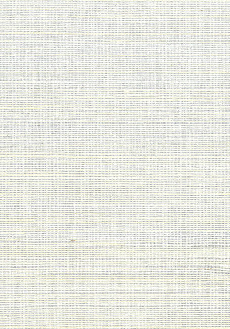 metallic-silver-off-white_sisal