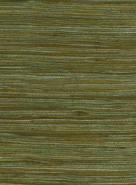 green-tan_water-hyacinth