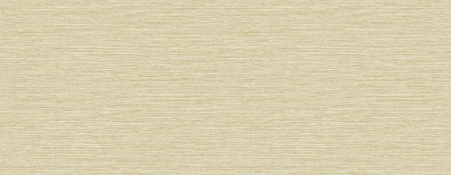 sand-dollar_karina