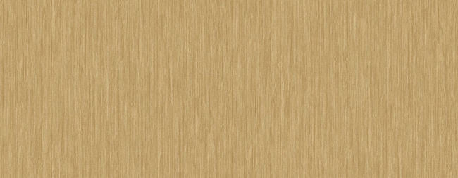 beech-tree_olivia
