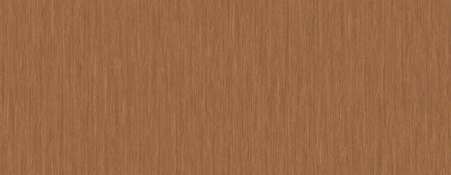 burnt-sienna_olivia