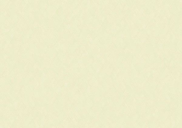 Rice Paper