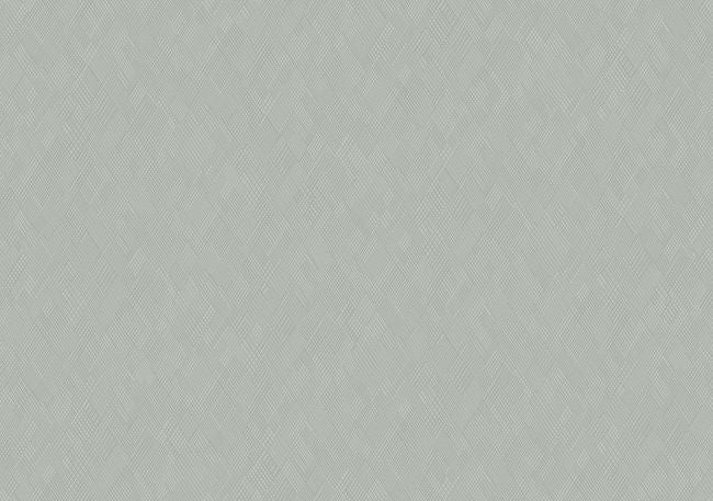 cement_paige