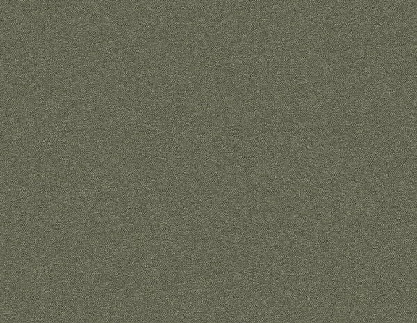 Volcanic Ash