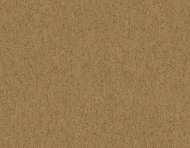 alder_urban-cork