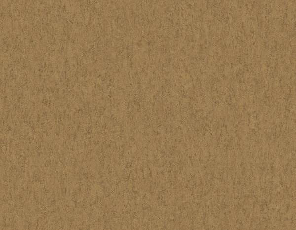 alder_urban-cork