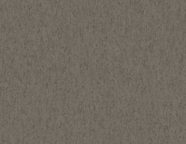 Volcanic Ash