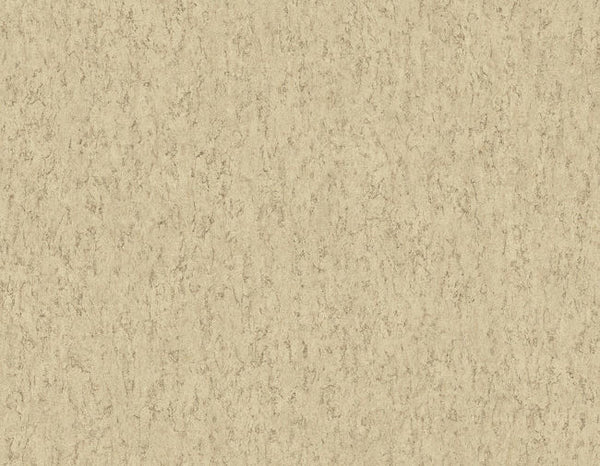 Sand Oak
