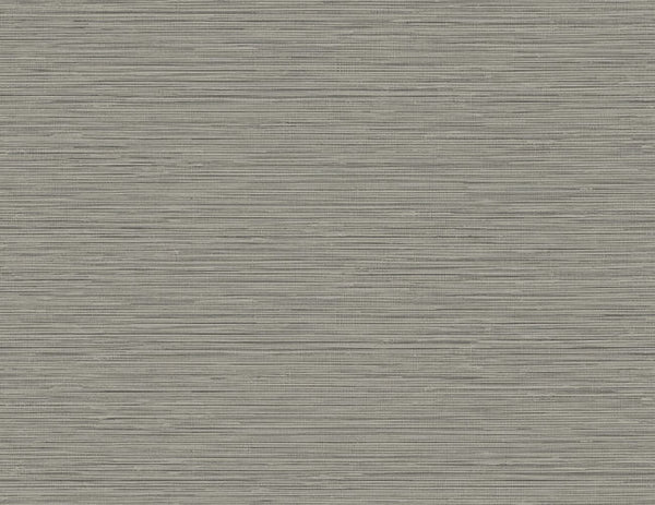 Volcanic Ash