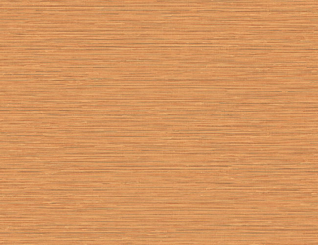coastline_summer-sisal