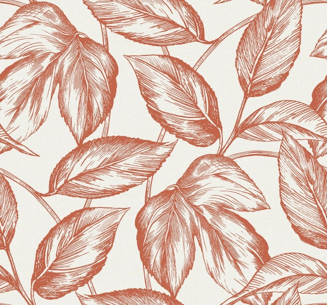 rich-coral_beckett