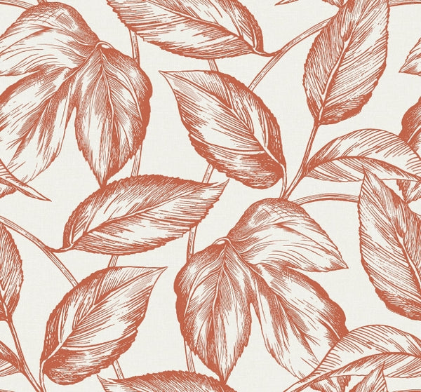Rich Coral