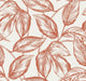 Rich Coral