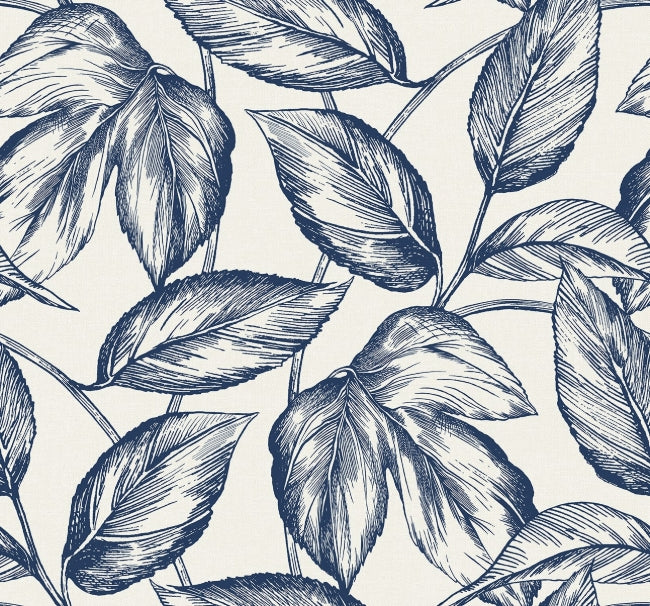 blueberry-hill_beckett