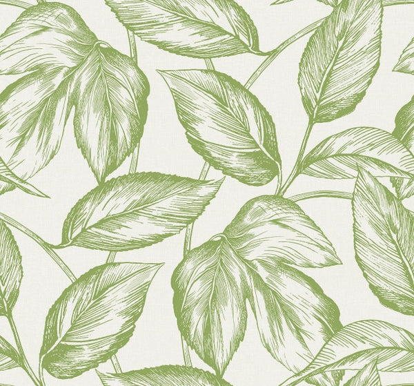 apple-green_beckett