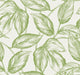 Apple Green