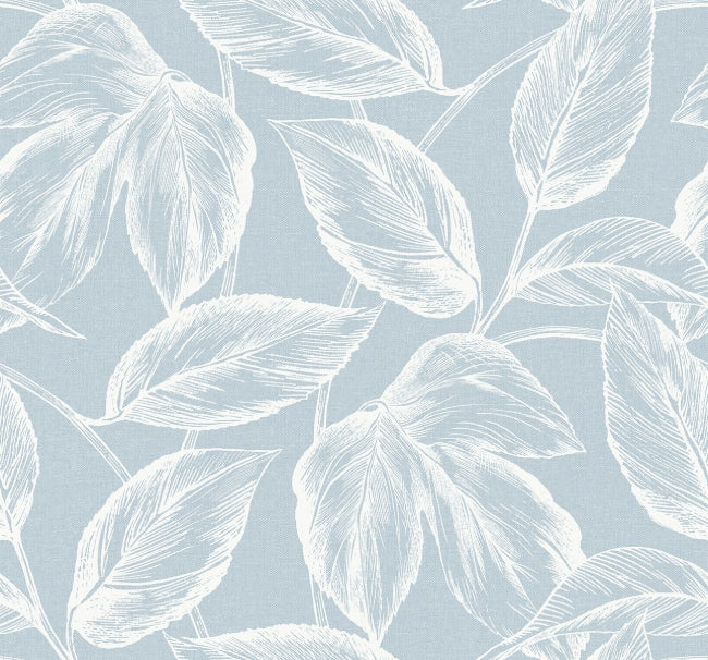 baby-blue_beckett