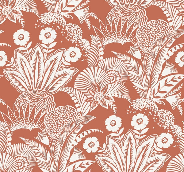 Coral Glow