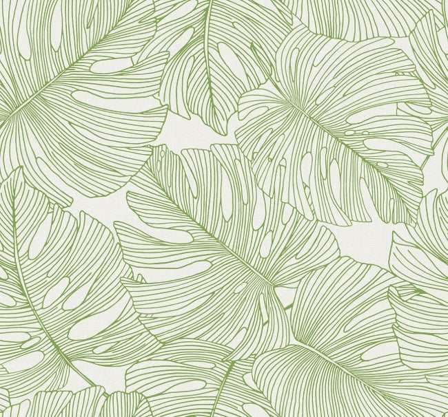 hill-green_tarra