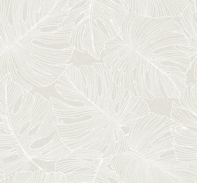 white-sand_tarra