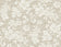 Balanced Beige
