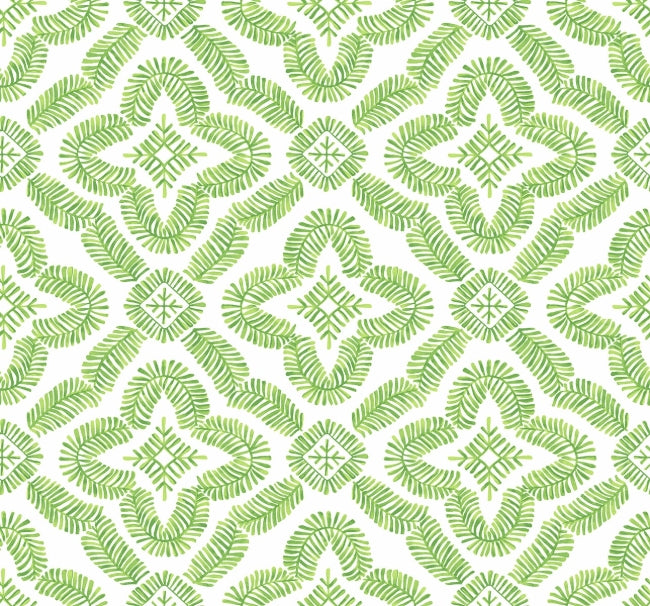 kiwi-green_talia