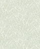 Celadon