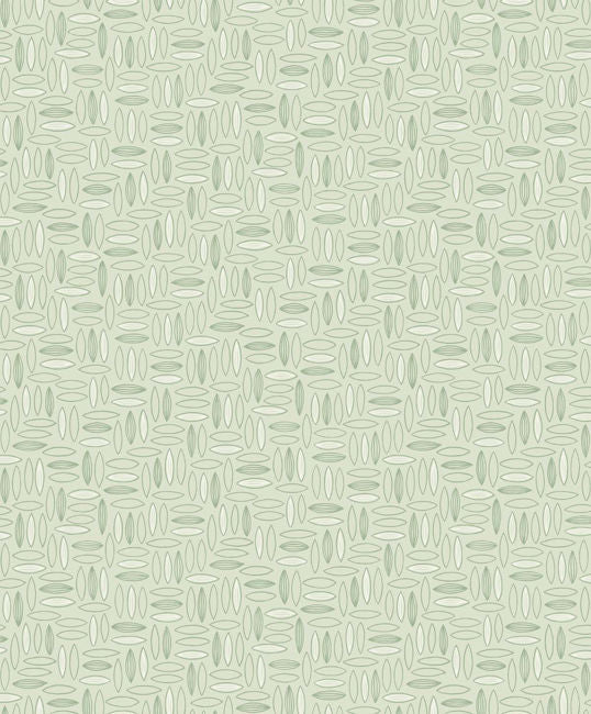 apple_pip-geo