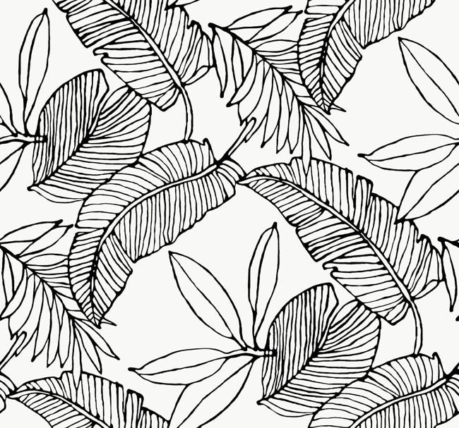 black_tropical-breeze-paper-ink