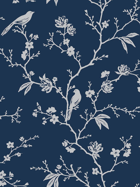 navys_song-bird-wallpaper