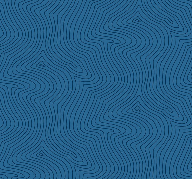 navys_fingerprints-wallpaper